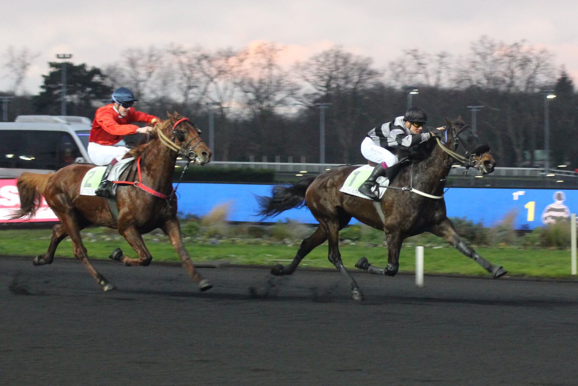 Daida de vandel Gr2 Roxane Griff