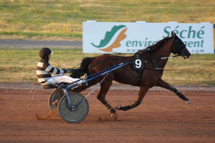 CARIOCA DE LOU (Jag de Bellouet-Lola de Lou)