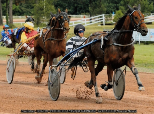 CARIOCA DE LOU ( Jag de Bellouet-Lola de Lou)