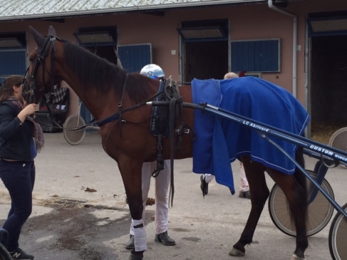 DEL PIERO DE LOU (Sam Bourbon-Lola de Lou)