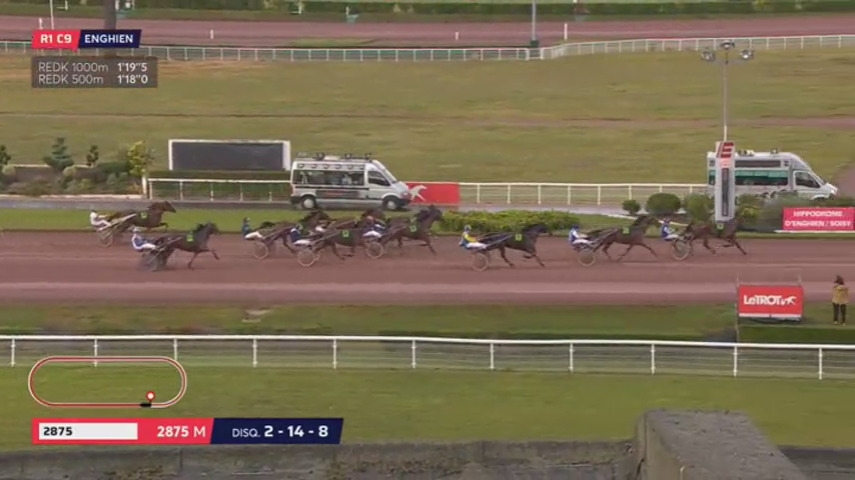 CLASSICO DE LOU (Niky-Harmony de lou)