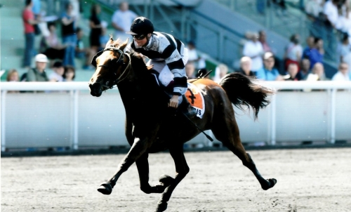 ARABELLA DE LOU (Coktail jet-Quinska de Lou)