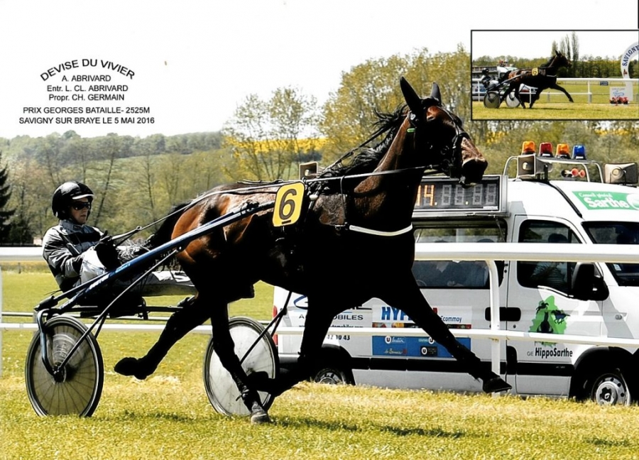 DEVISE DU VIVIER (Real de Lou-Melusine du vivier)