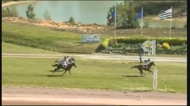 LOU GOLD (Poliglote-Green Emerald)