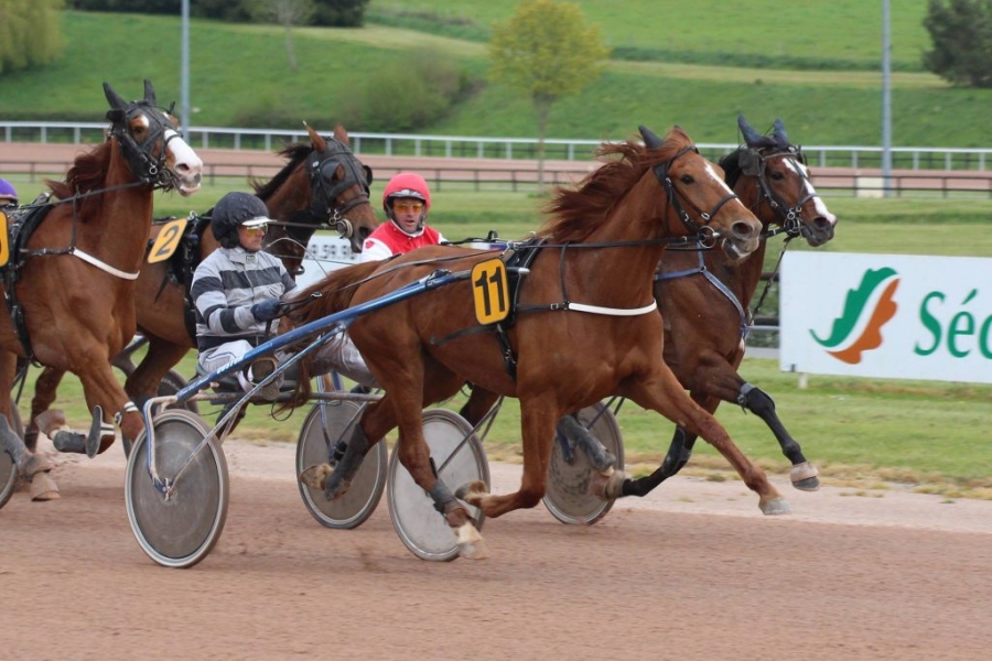 BELLISSIMA DE LOU (Saxo de Vandel – Natacha de Lou)