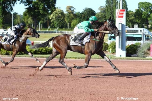 FASCINOSO DE LOU (Prodigious-Riviera de Lou)