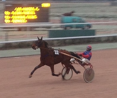 DAL CUORE ( Real de Lou- Senora de Lou par Lulo Josselyn)