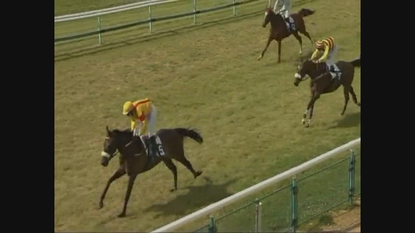 LOU MAGNIFICA ( Saints des saints -Lou Emerald)