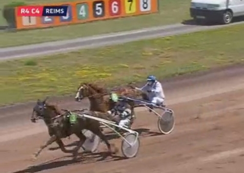 HIGUAIN DE LOU (Love you-Saba du vivier)