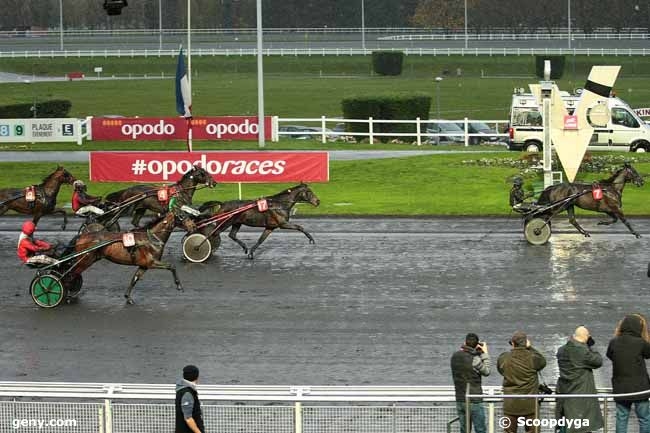 VOLARE DE LOU ( Korean-Pareastern de Lou)