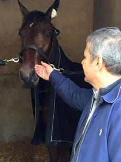 DOMINGO DE LOU (Real de Lou-Quinska de Lou)