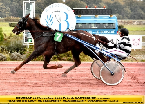 BANCO DE LOU (Kiwi-Pareastern de lou)