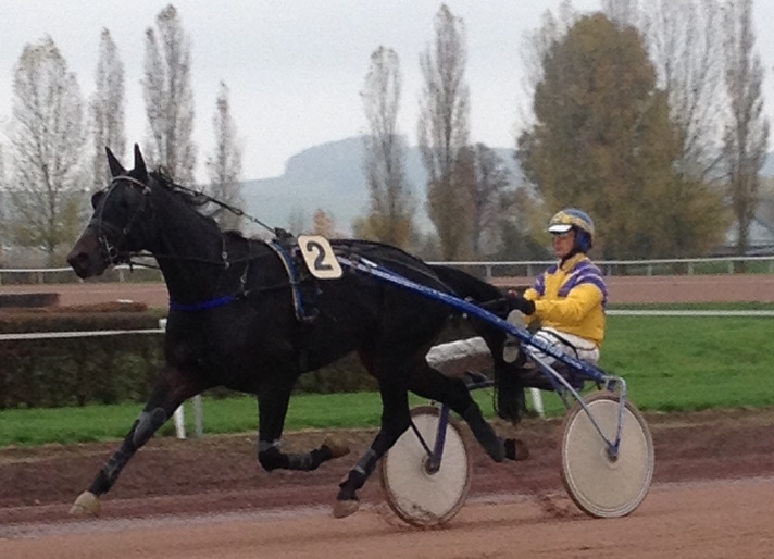 Qualification REAL DE LOU