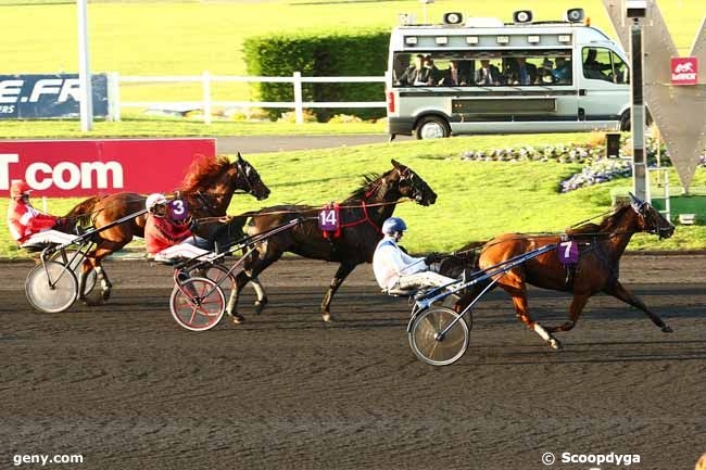 VOLARE DE LOU (Korean-Pareastern de lou)