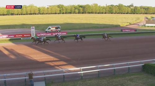 HAVANA DE NILREM (Real de Lou-Paola d’or fix)