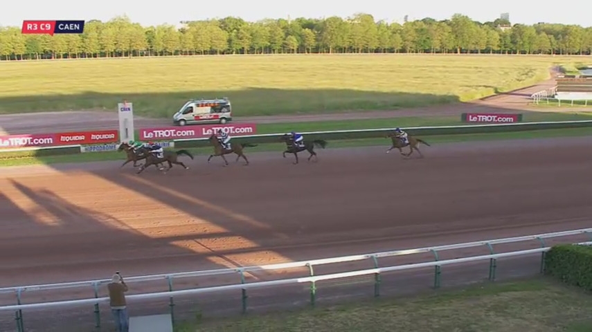 HAVANA DE NILREM (Real de Lou-Paola d’or fix)