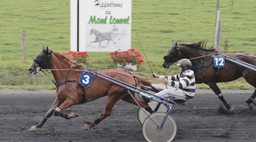 CONCHITA DE LOU (Password-Soraya de Lou)