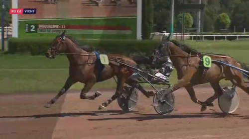 GUANACO DE LOU (Real de Lou-Bahama de lou)