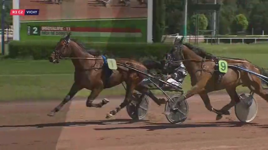 GUANACO DE LOU (Real de Lou-Bahama de lou)