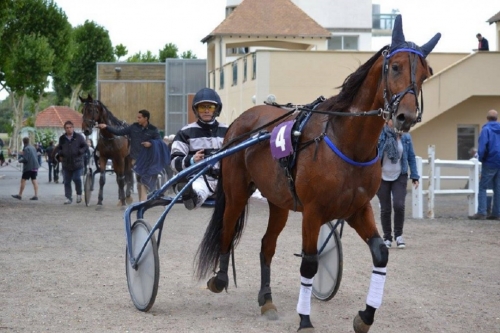 CARIOCA DE LOU (Jag de Bellouet-Lola de lou)