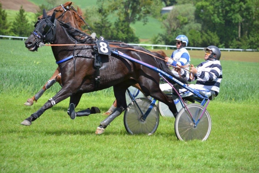 BARAKA DE LOU (Quaro-Sierra de lou)