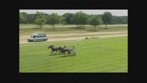 HIGUAIN DE LOU (Love you-Saba du vivier)