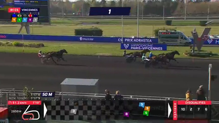 HIGUAIN DE LOU (Love you-Saba du vivier)