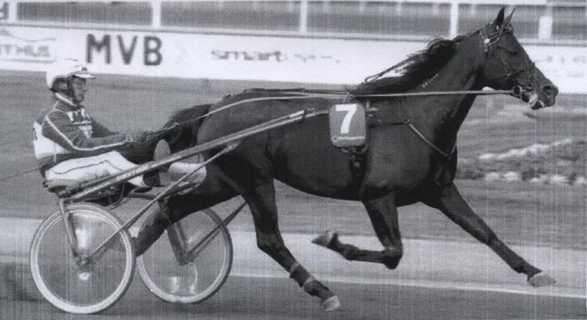 MELLBY VIKING (Viking Kronos-Naomi de Lou)