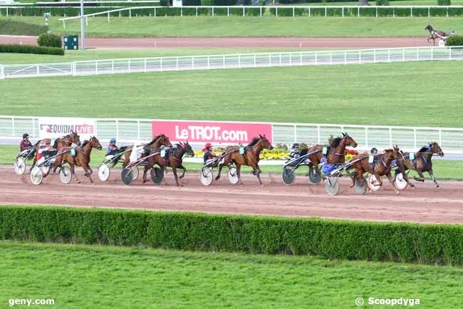 AOSTA DE LOU ( Goetmals wood – Prima dona de Lou)