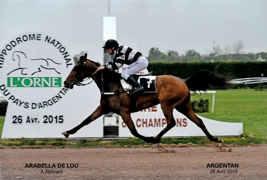 ARABELLA DE LOU (Coktail jet – Quinska de Lou)