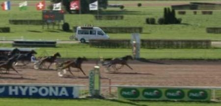 TINO DE LOU (Gros Grain -Marina de Lou)