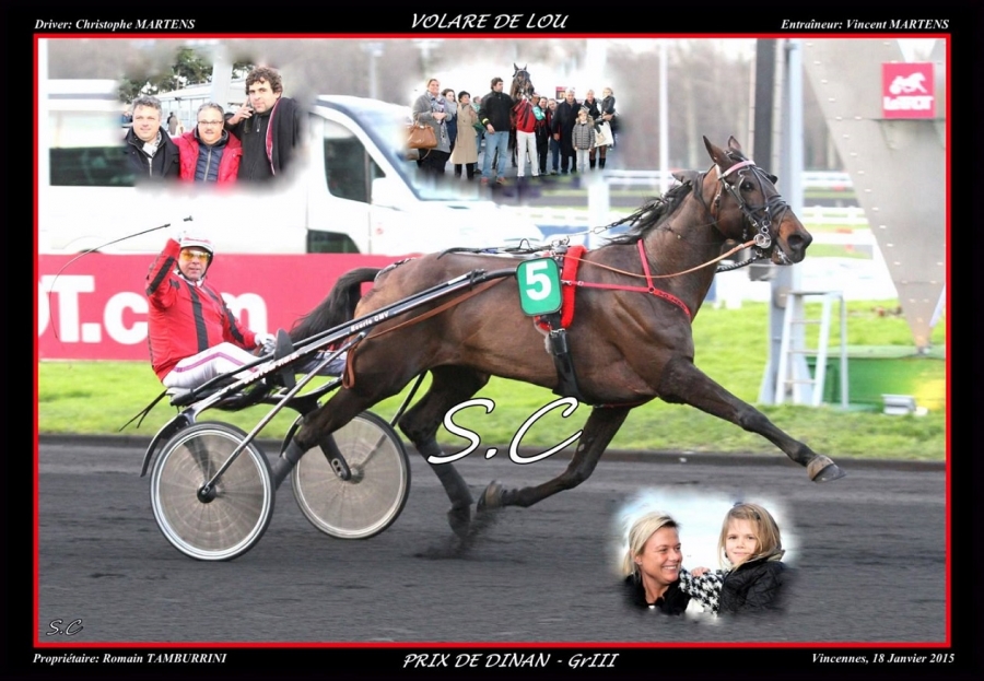 VOLARE DE LOU ( Korean-Pareastern de Lou)