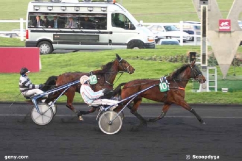 AOSTA DE LOU ( Goetmals wood-Prima dona de Lou)