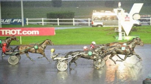 VOLARE DE LOU (Korean-Pareastern de Lou)