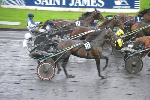 UNORA DE LOU (Goetmals wood-Nora de Lou)