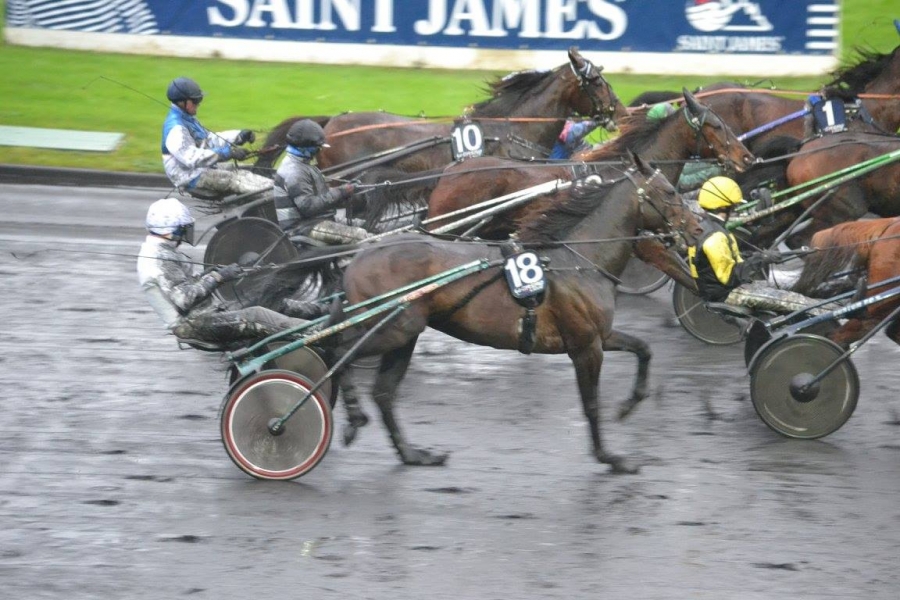 UNORA DE LOU (Goetmals wood-Nora de Lou)