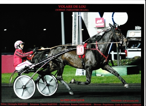 VOLARE DE LOU (Korean-Parestern de Lou)