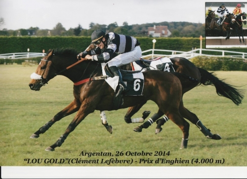 LOU GOLD (Poliglote-Green Emerald)