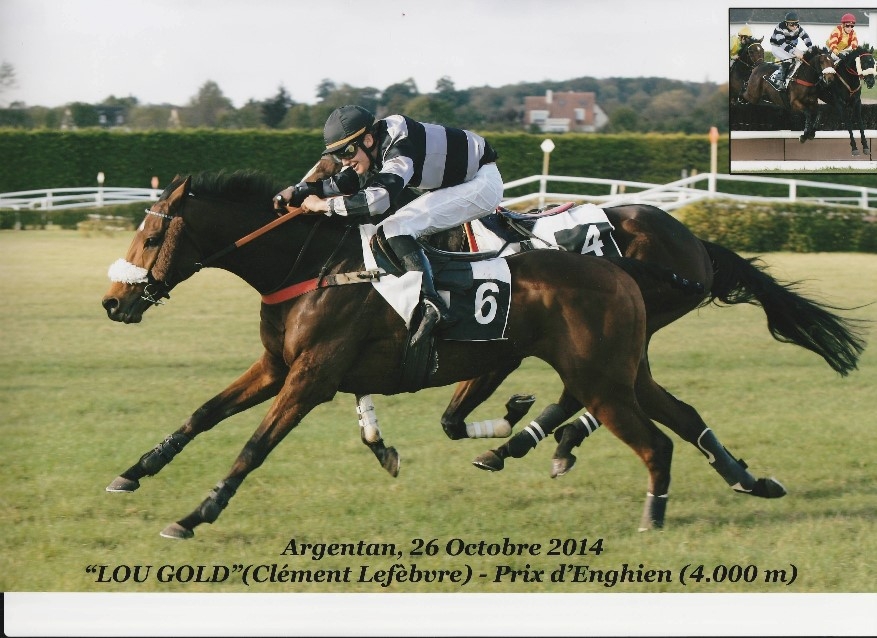 LOU GOLD (Poliglote-Green Emerald)