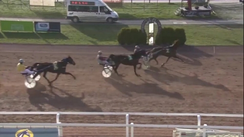 HUNGARO DE LOU (Royal Dream-Classica de Lou)