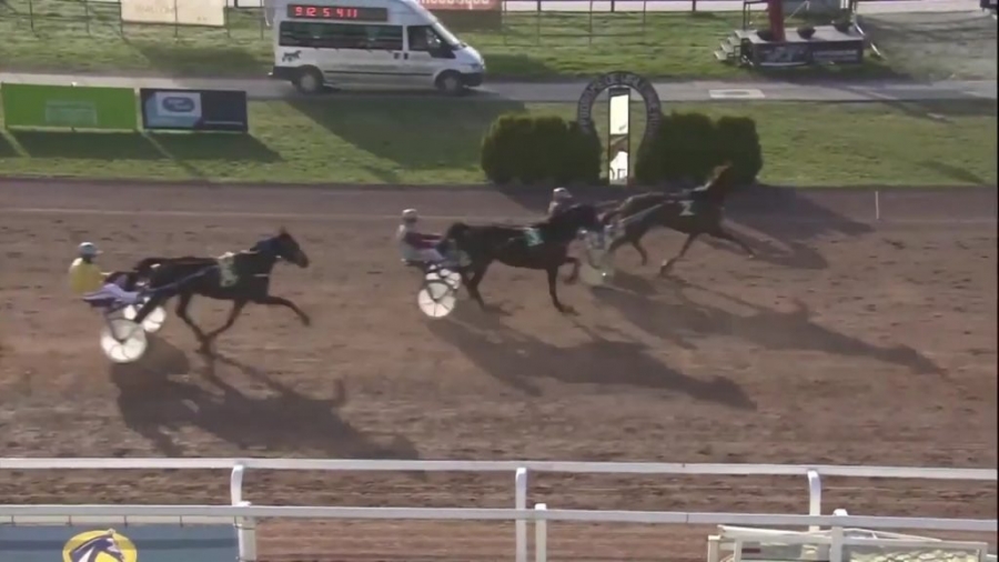 HUNGARO DE LOU (Royal Dream-Classica de Lou)