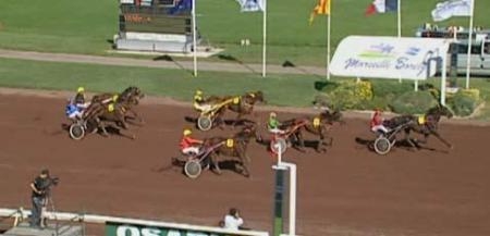 VOLARE DE LOU (Korean-Pareastern de Lou)