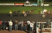 ASCIANO DE LOU (Jam Pridem-Harmony de Lou)