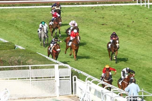 LOU GOLD (Poliglote-Green Emerald)