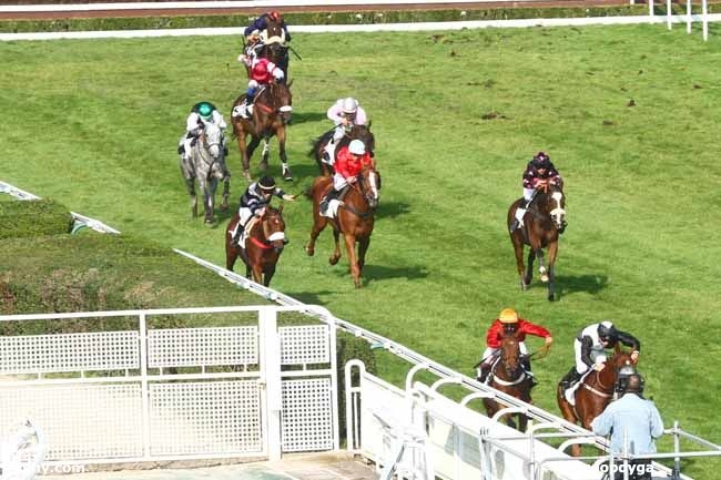 LOU GOLD (Poliglote-Green Emerald)