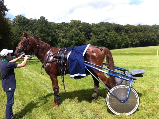 BARCA DE LOU (Coktail jet – Neastern de Lou)