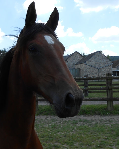 DONOSTIA DE LOU (Real de Lou- Ruanita de Lou)