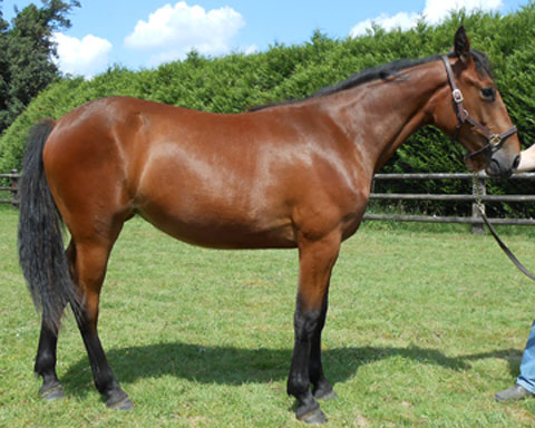 DOULINA DE LOU 087