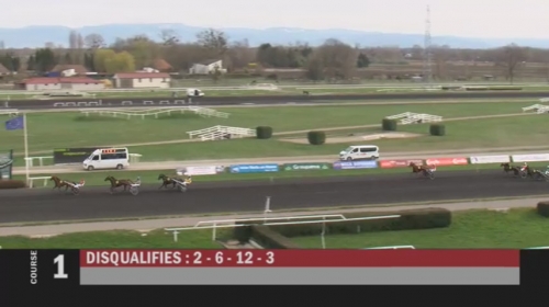 HUNGARO DE LOU (Royal Dream-Classica de Lou)