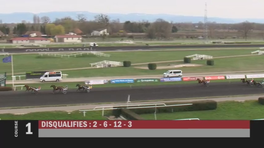 HUNGARO DE LOU (Royal Dream-Classica de Lou)